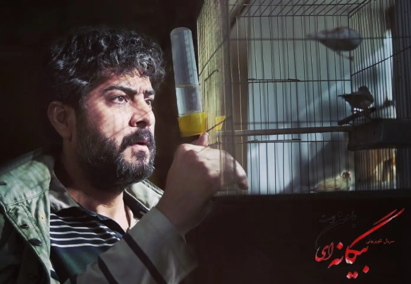 سریال های سامرند معروفی