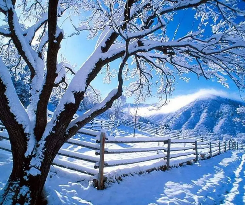 شعر زیبا درباره زمستان - گلچین شعر درباره زمستان - اشعار زمستان