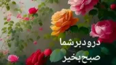 فال روزانه 13 آذر؛ توصیه‌های مهمی که نباید از دست بدهید!