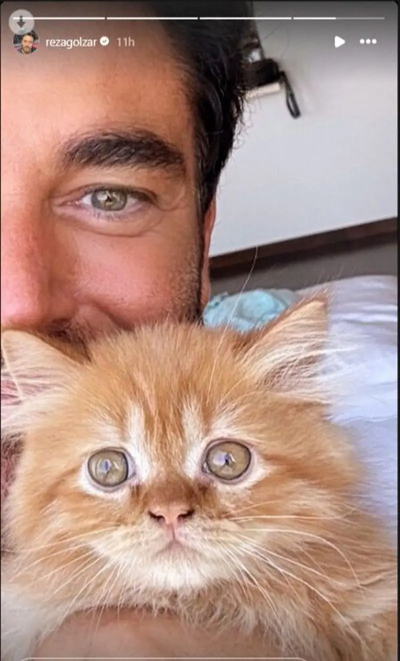 محمدرضا گلزار