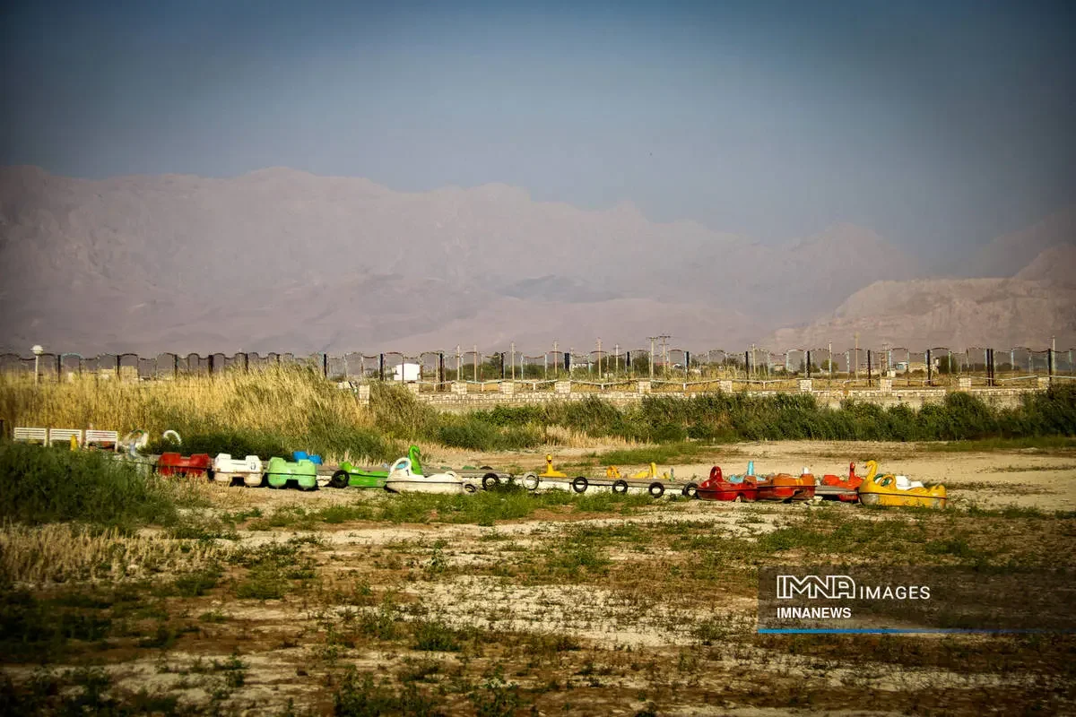 مرگ+سراب+نیلوفر+کرمانشاه (5)