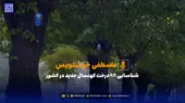 شناسایی ۹۸ درخت کهنسال جدید در کشور
