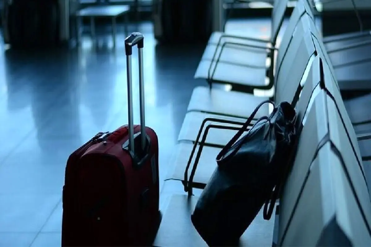 شوک بزرگ وزارت علوم؛ بیش از هزار استاد و پژوهشگر طی ۵ سال گذشته مهاجرت کردند!