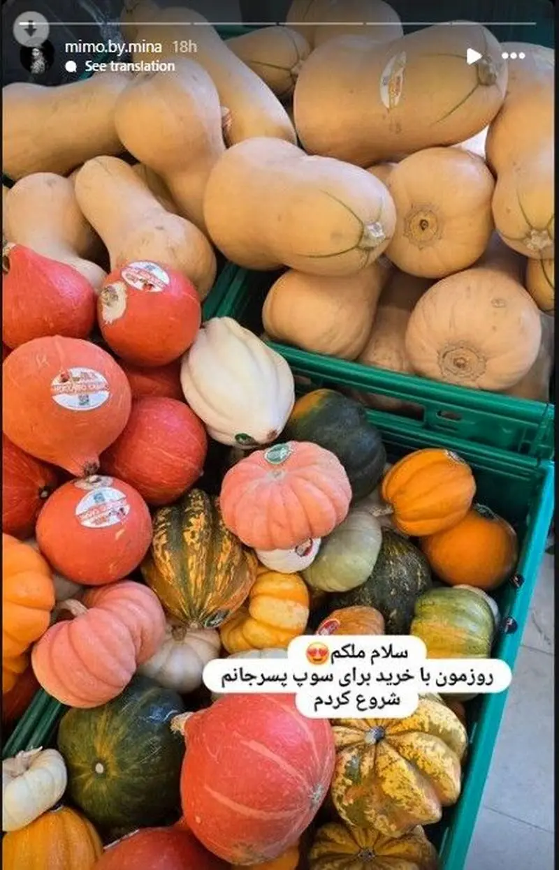 مینا مختاری
