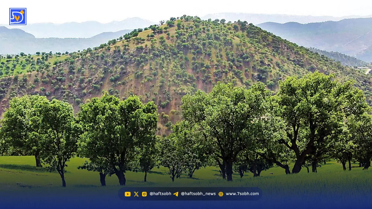 همایش‌ نمایشی برای نجات زاگرس