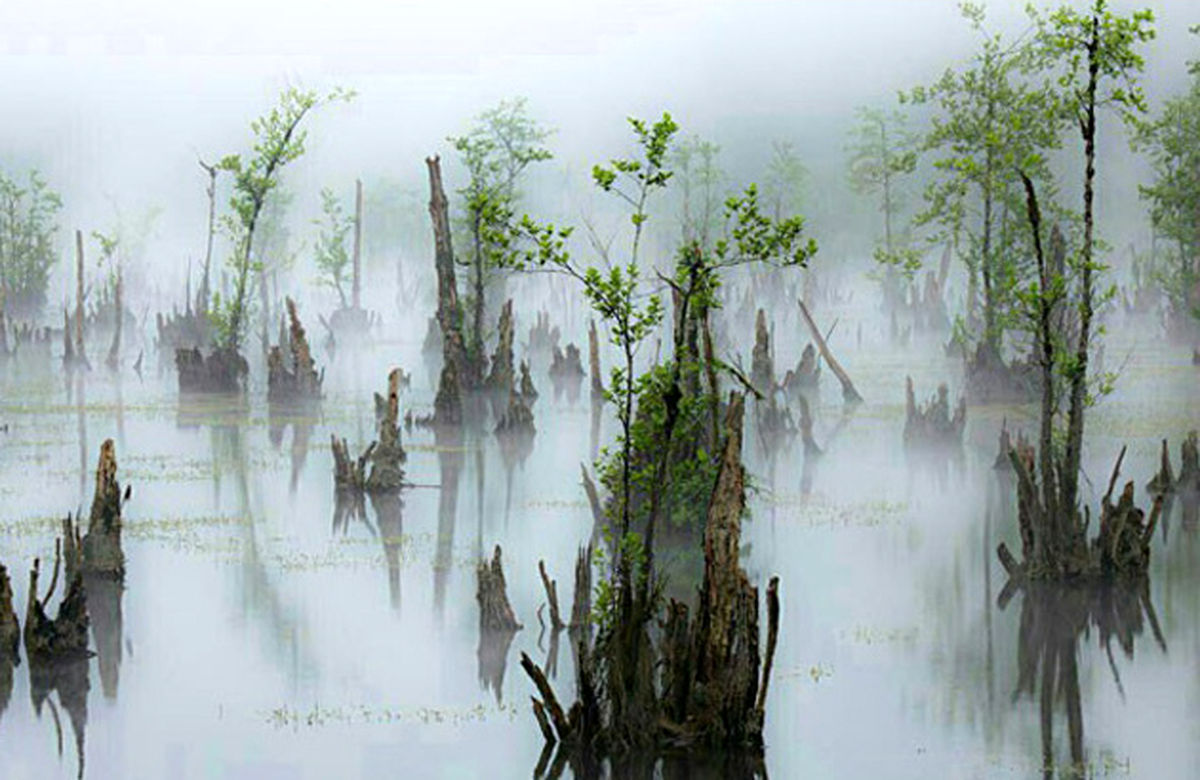 شگفتی‌هایی در ایران که فقط در فیلم‌ها دیده‌اید؛ آیا آماده کشف هستید؟