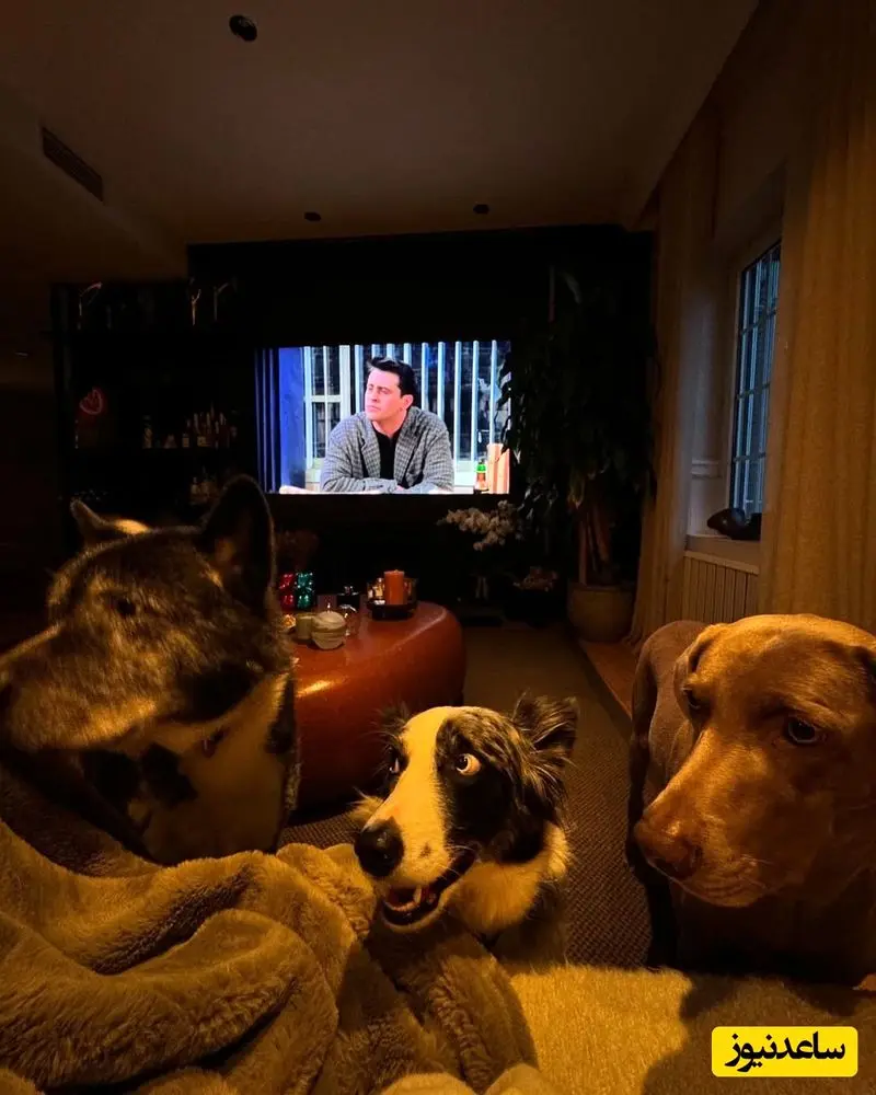 منزل هانده ارچل