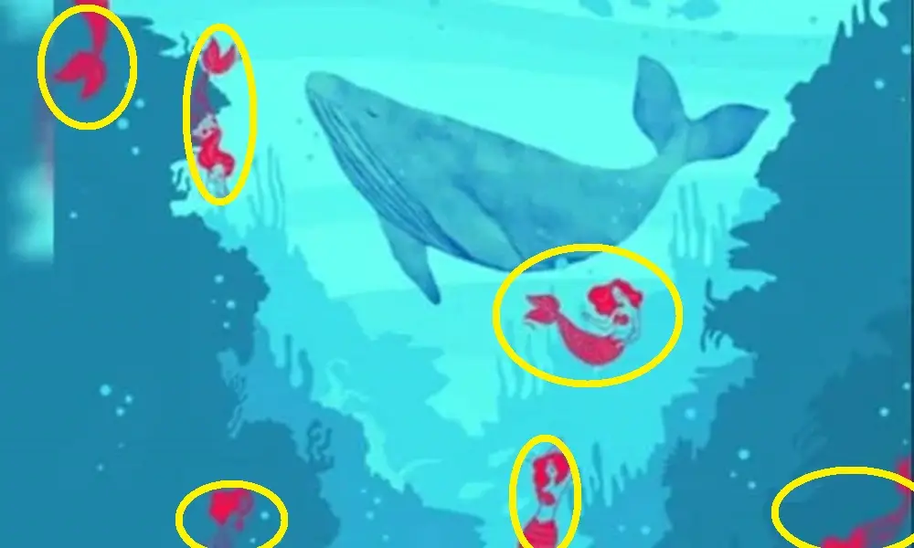 پاسخ تست بینایی یافتن پری دریایی ها در اقیانوس