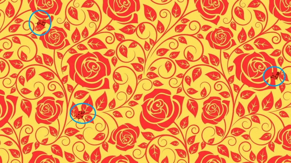 پاسخ تست بینایی ۳ کفشدوزک در میان گلهای رز