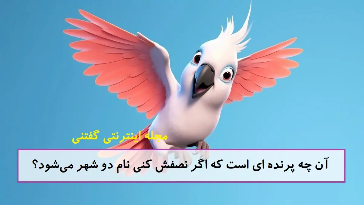 چیستان نصف پرنده و نام دو شهر