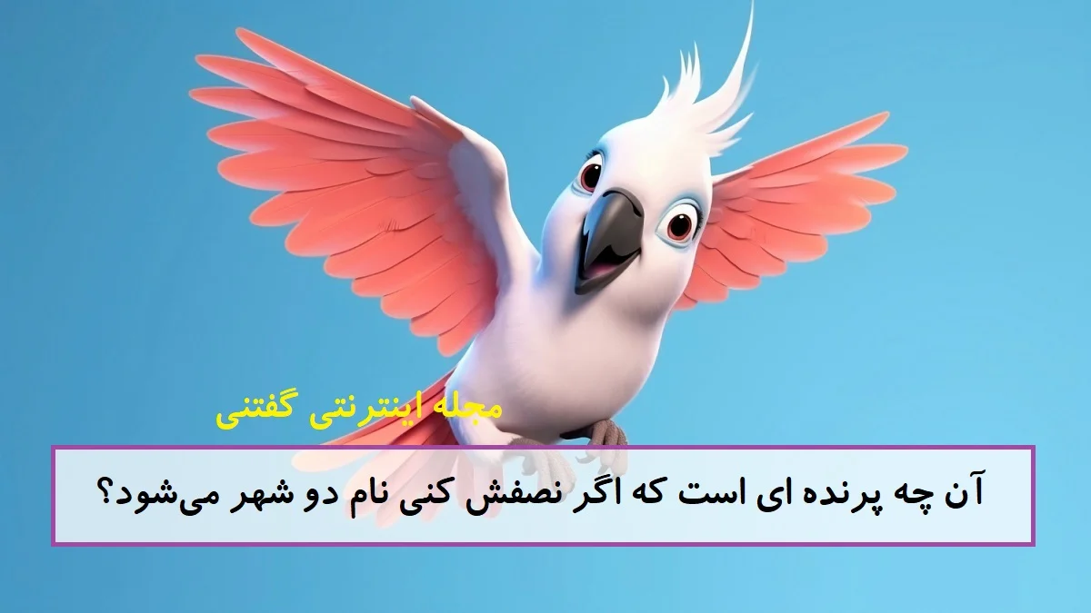 چیستان نصف پرنده و نام دو شهر