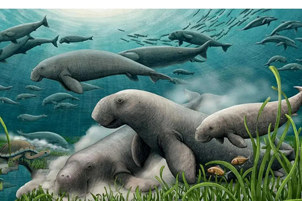 کشف فسیل ۲۱ میلیون ساله گاو دریایی در خلیج فارس؛ راز باستانی در اعماق دریایی!