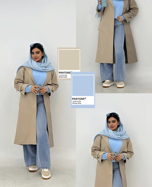 ترکیب رنگ‌های زمستانی