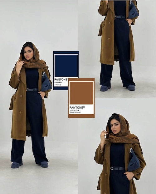 ترکیب رنگ‌های زمستانی