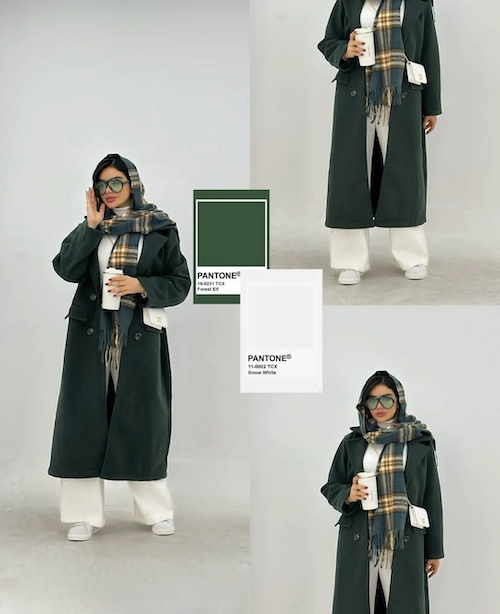 ترکیب رنگ‌های زمستانی