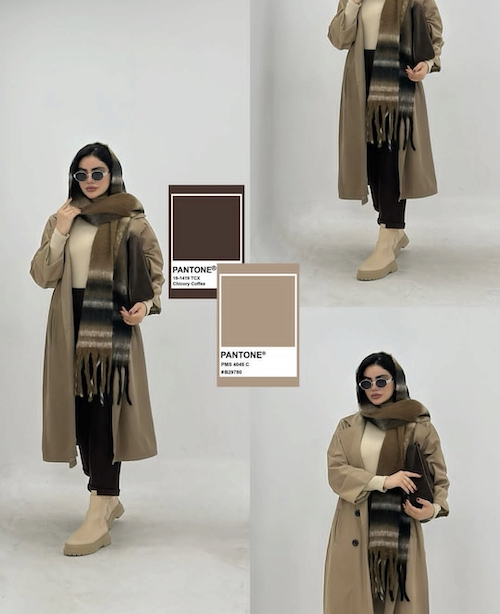 ترکیب رنگ‌های زمستانی