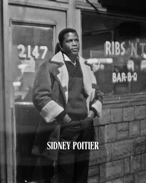 استایل آیکون‌های زمستان