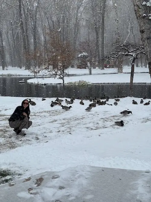 استایل ساده دمی مور