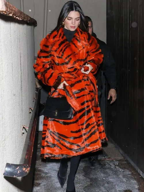 علاقه‌ی کندال جنر به خز