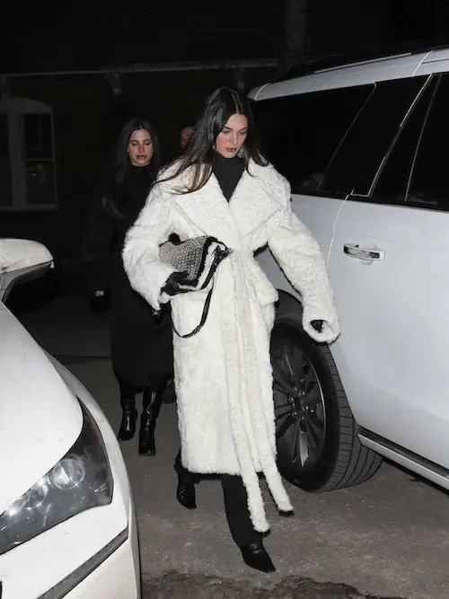 علاقه‌ی کندال جنر به خز