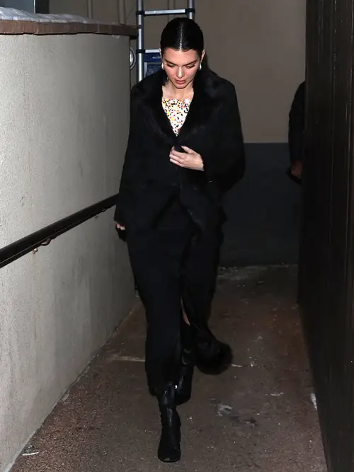 علاقه‌ی کندال جنر به خز