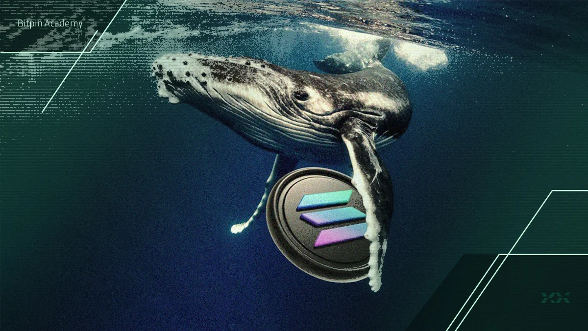 حرکت میلیون دلاری نهنگ سولانا که بازار را تکان داد؛ آیا قیمت سولانا به ۱۴۵ دلار می‌رسد؟