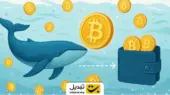 حرکت میلیاردی نهنگ‌های بیت‌کوین در ۲۰۲۵؛ نشانه تغییرات بزرگ در بازار رمزارزها؟