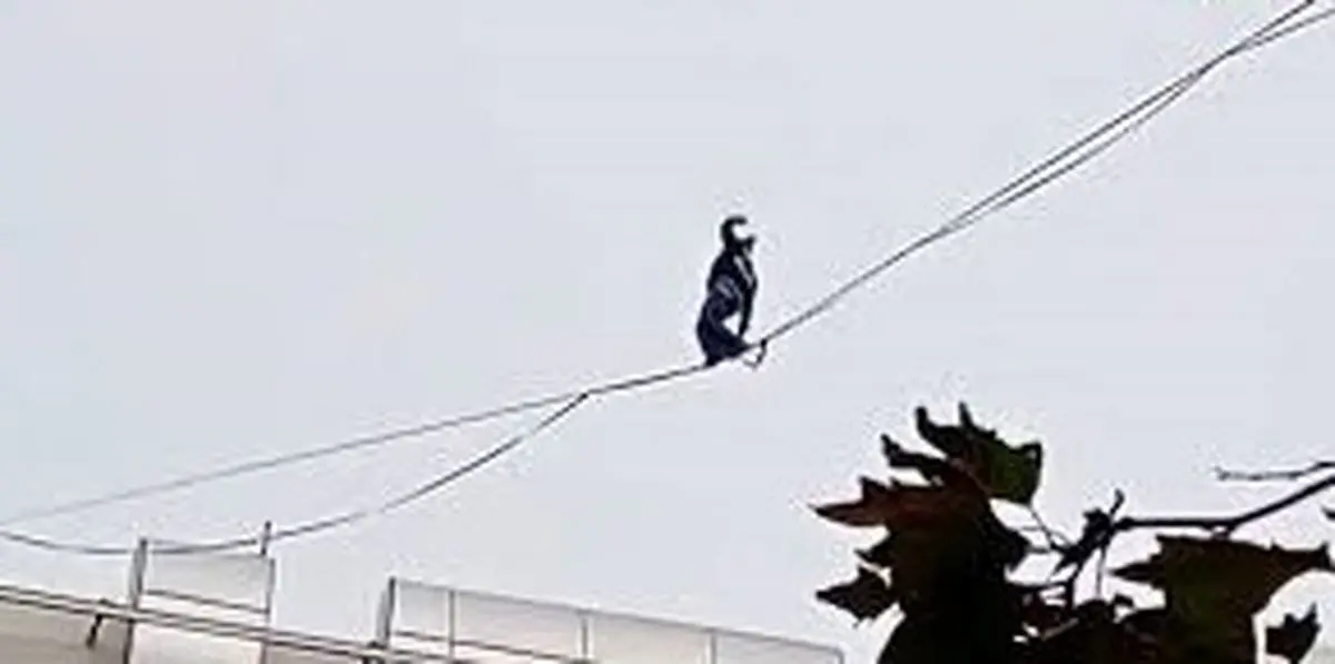 حرکت وحشتناک دختر جوان روی سیم‌های برق بین ساختمان‌ها؛ لحظه‌هایی که نفس را در سینه حبس می‌کند!