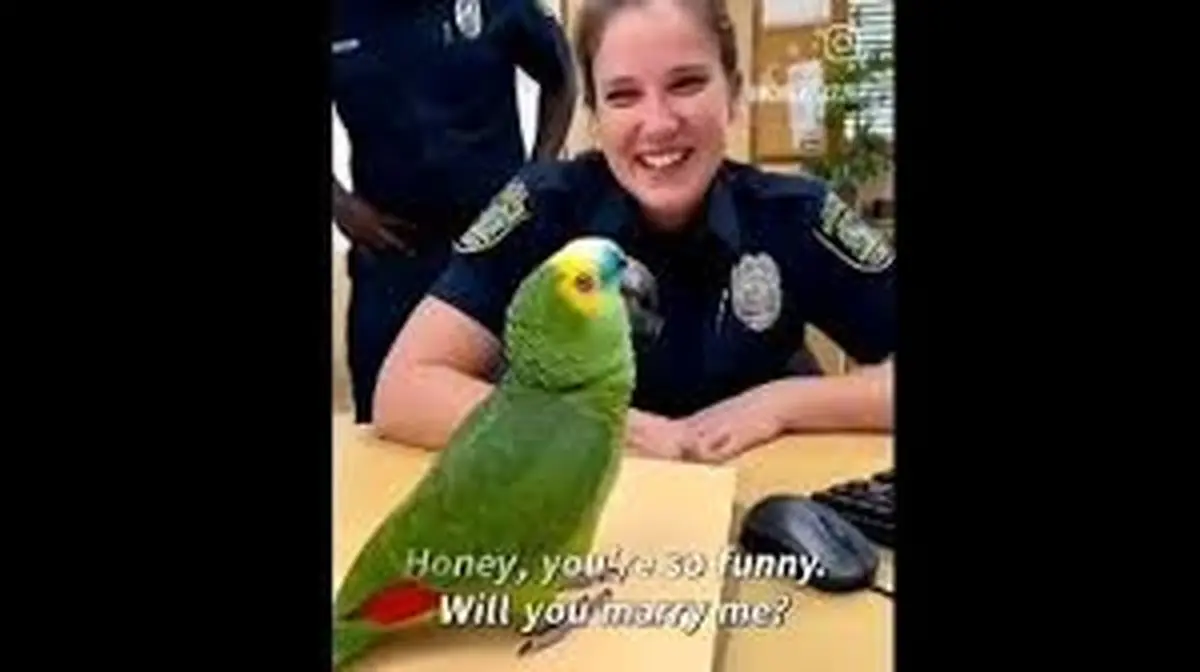 لحظه جالب خواستگاری پلیس زن از طوطی در ویدئوی دیدنی
