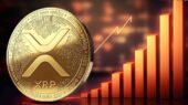 رکوردشکنی دارایی‌های ETF های XRP در کمتر از دو ماه؛ جهش از ۳۳۶ به ۹۴۱ میلیون دلار!
