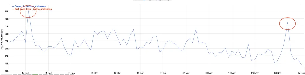 افزایش فعالیت شبکه دوج کوین و احتمال بازگشت روند صعودی