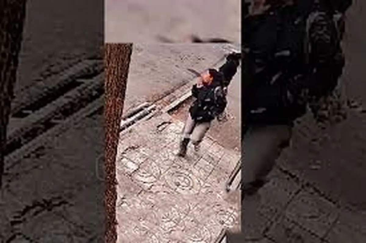 لحظه دلهره‌آور سرقت آیفون در جنوب تهران؛ فیلمی که تکان می‌دهد!