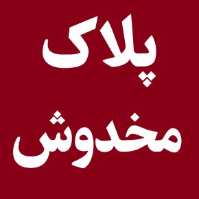 پلیس هشدار داد: جریمه سنگین برای دستکاری و مخدوش کردن پلاک خودروها