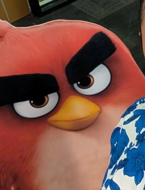 انیمیشن the Angry Birds Movie 3