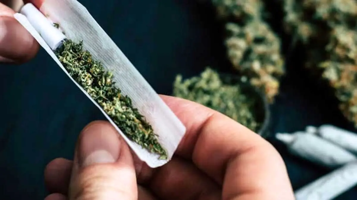 دسترسی کمتر از ۱۰ دقیقه به مخدر «گل» با عوارض تکان‌دهنده و وحشتناک در ایران!