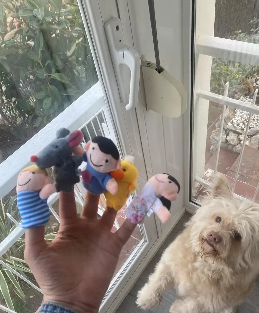 hmishh-fkr-mi-krdm-baad-az-si-o-do-salgi-dnia-chh-