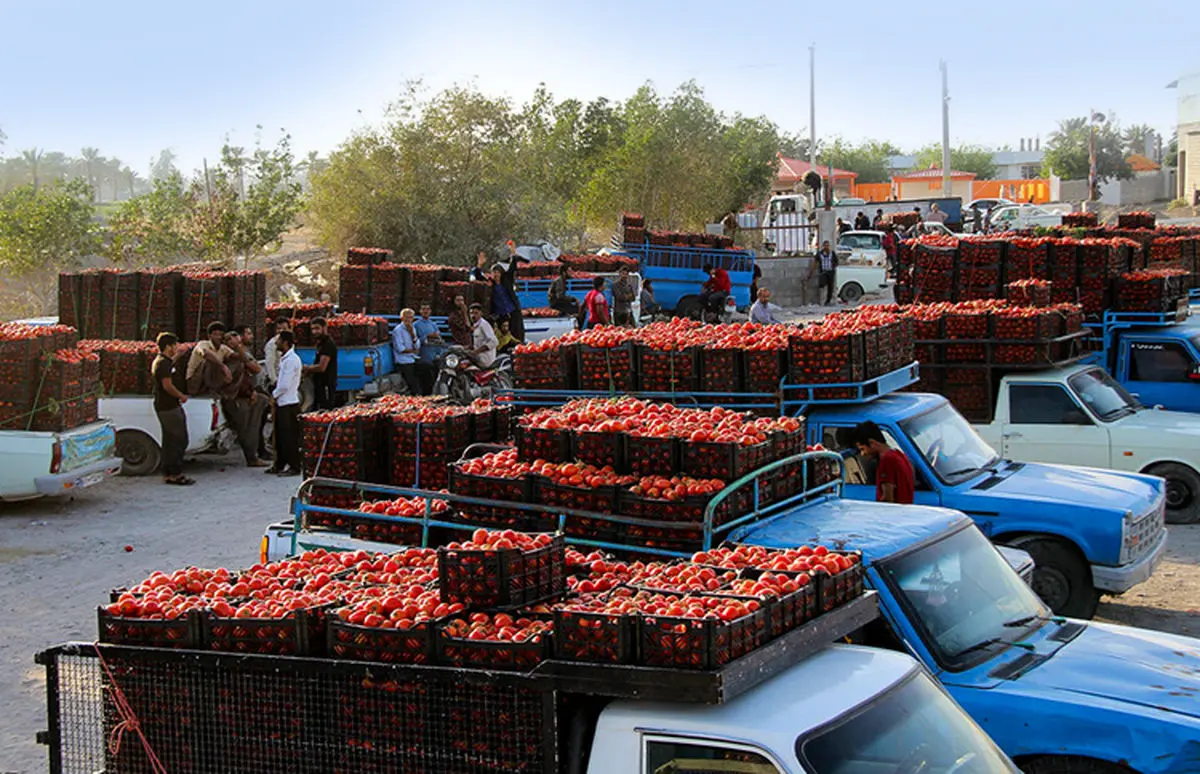 افزایش قیمت بنزین، عامل پنهان گرانی میوه در بازار تهران!
