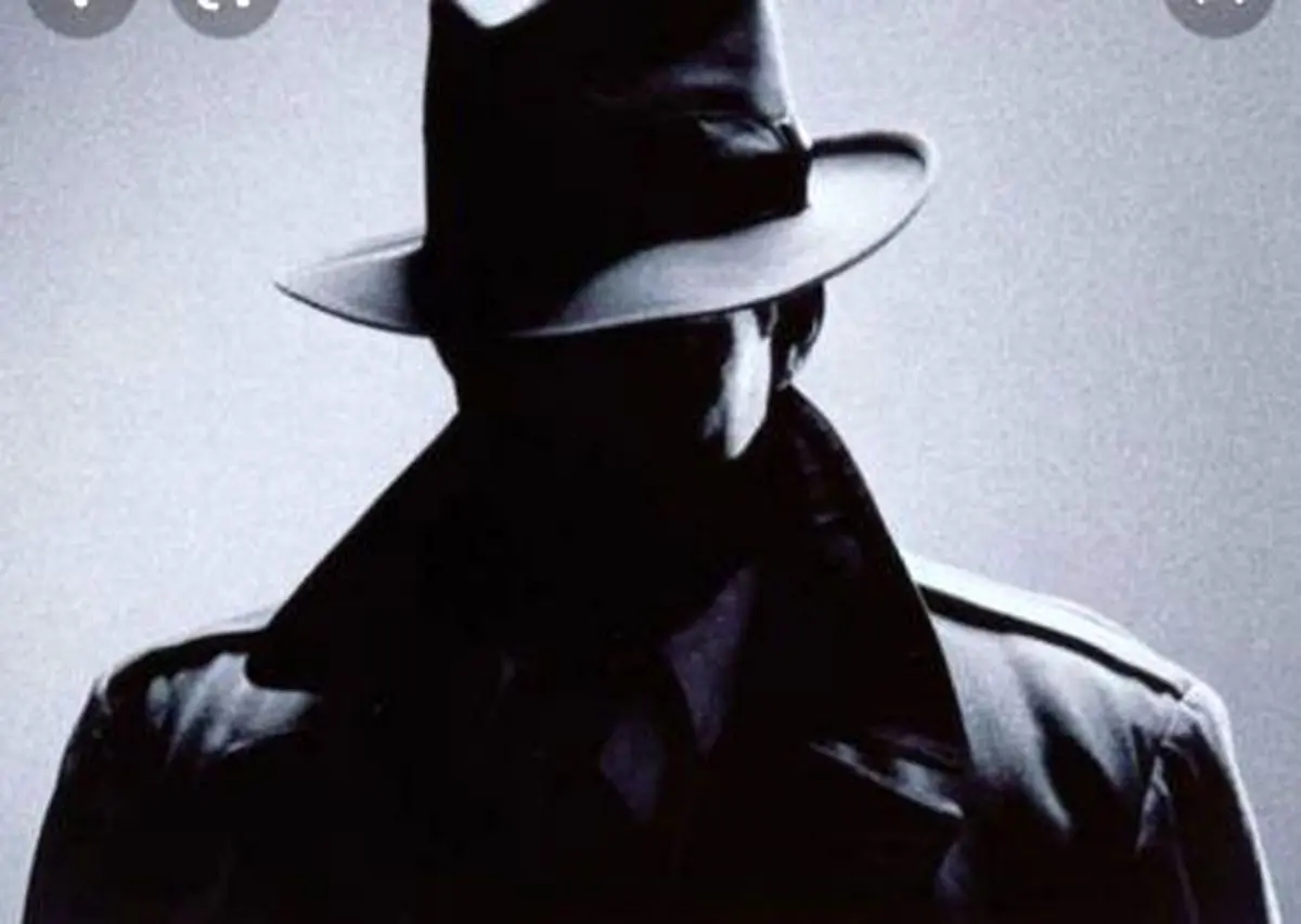 هشدار پلیس درباره کارآگاهان خصوصی اینستاگرامی؛ واقعی نیستند!