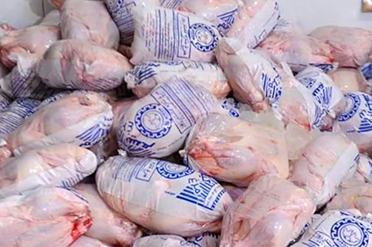 توزیع نامحدود مرغ منجمد در تهران؛ آیا قیمت‌ها واقعی می‌ماند؟