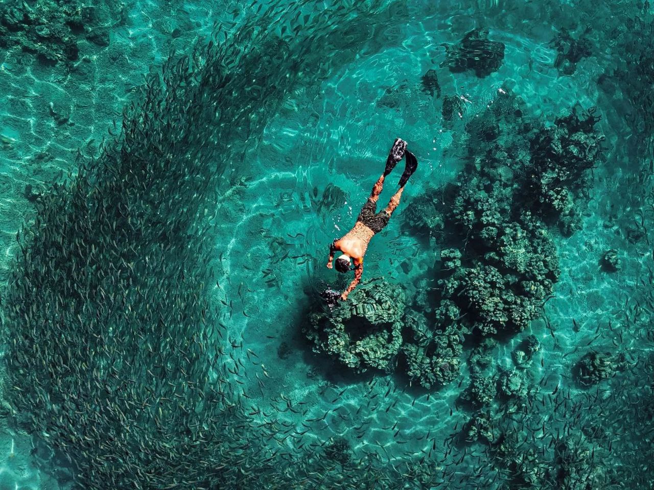 photo_2025-12-01_08-22-06 (2)