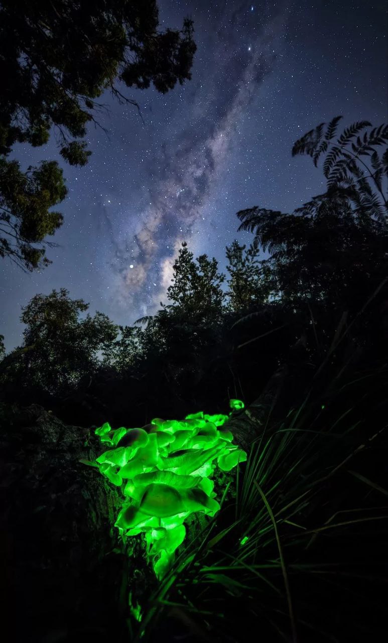 photo_2025-12-01_08-22-07