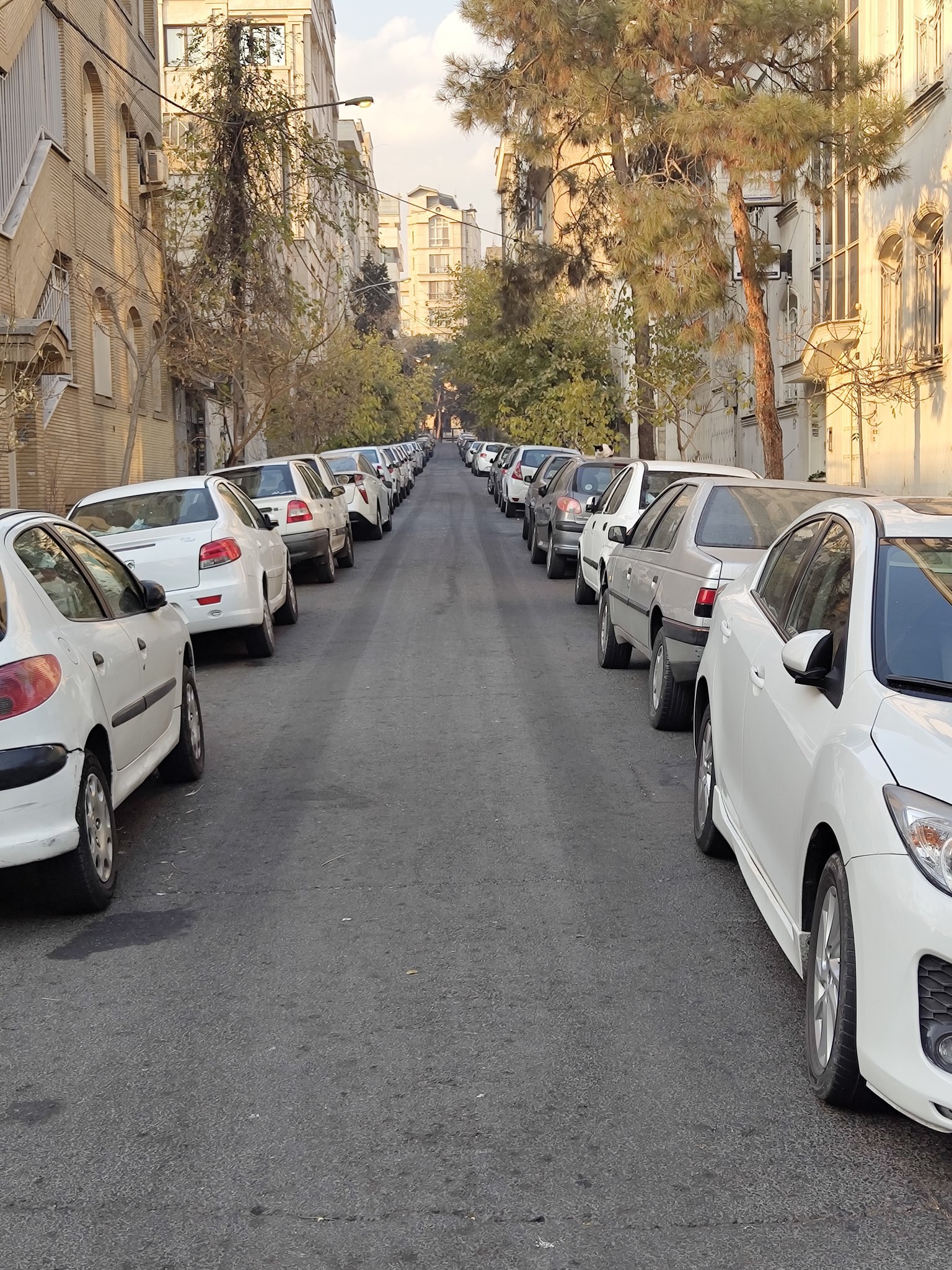 photo_2025-12-01_20-47-21