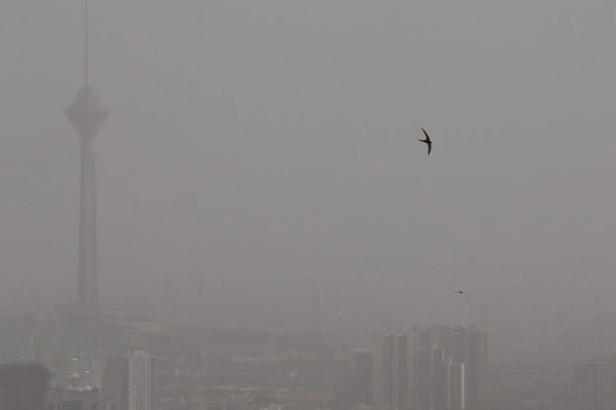 photo_2025-12-02_18-24-49