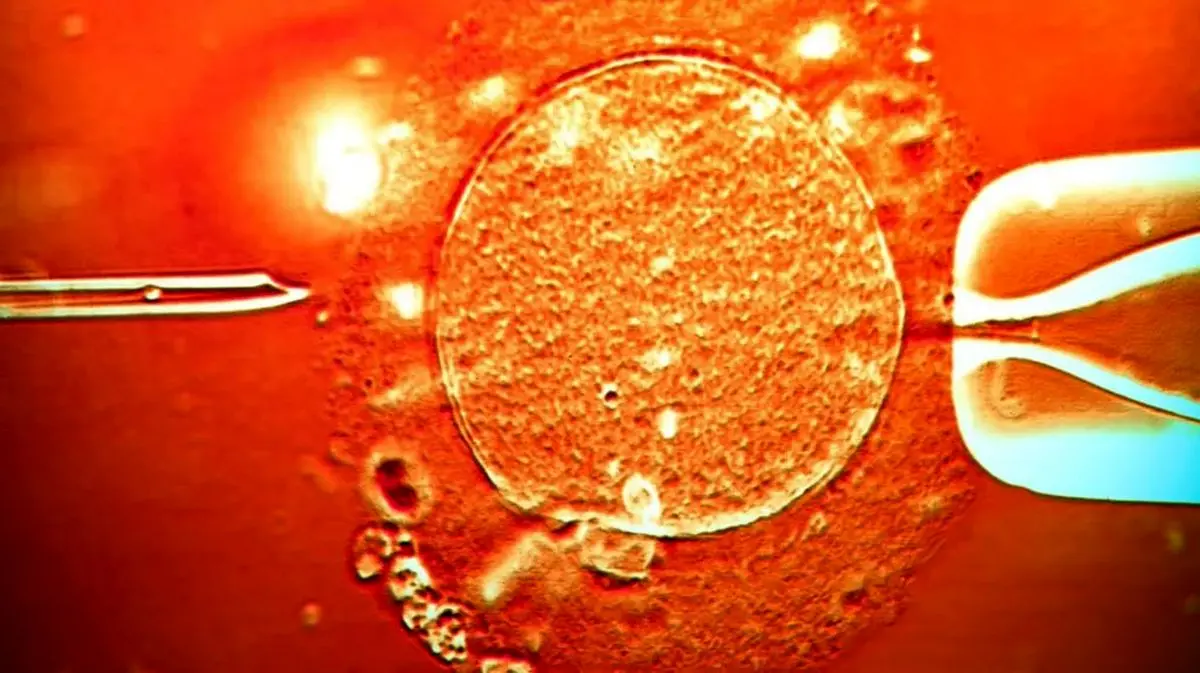 خطایی که 197 کودک را در خطر سرطان قرار داد/ عده‌ای از کودکان کشته شده‌اند