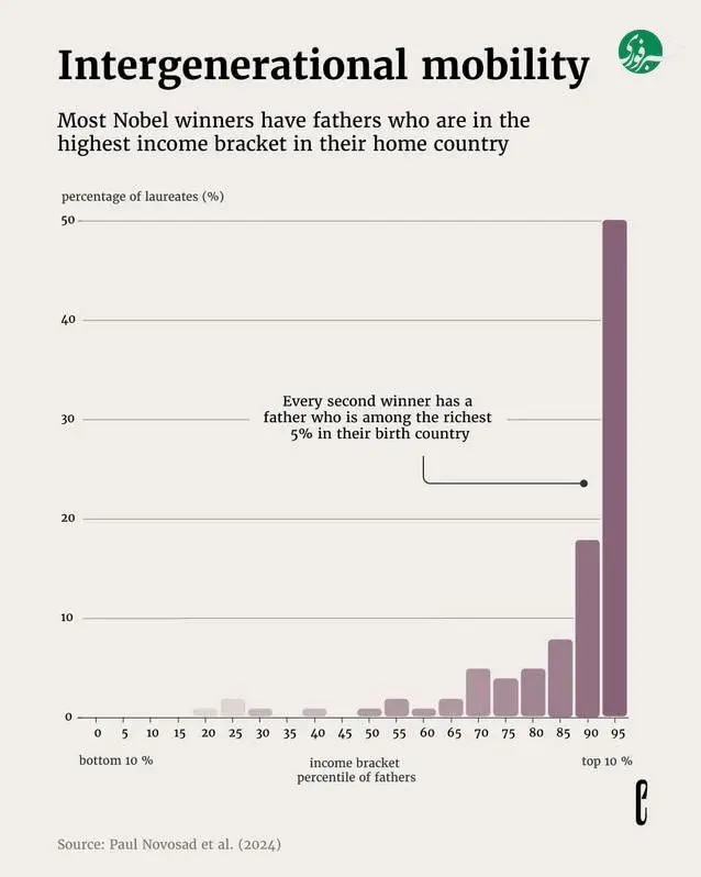 photo_2025-12-11_11-20-19