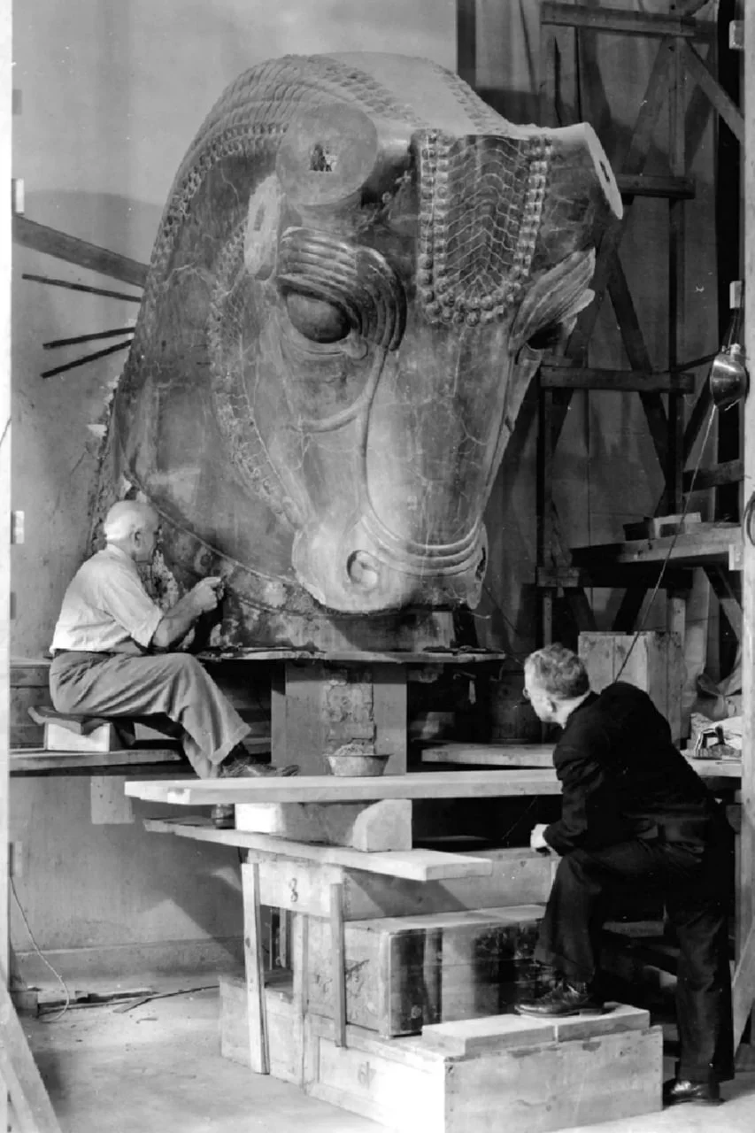 photo_2025-12-12_00-35-18