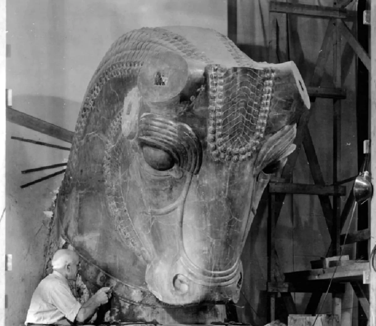 ماجرای مرمت گاو سنگی هخامنشی در موزه شیکاگو که همه را شگفت‌زده کرد!