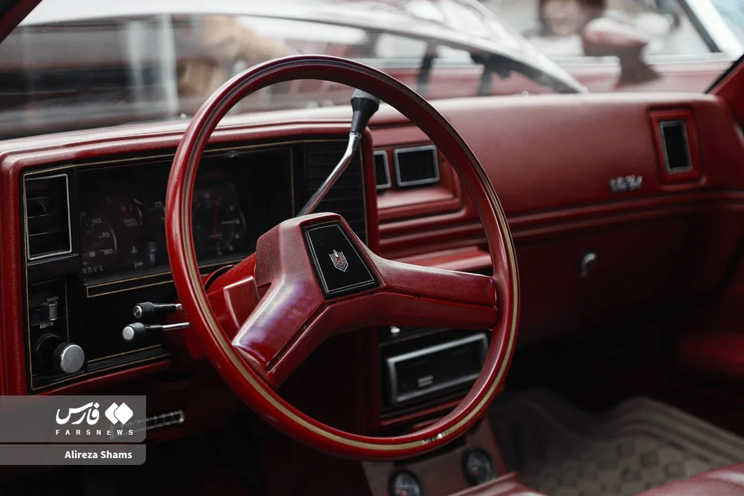 photo_2025-12-13_13-20-16 (5)