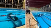 حادثه تکان‌دهنده در جنوب فرانسه؛ زن ۳۸ ساله با خودرو به استخر عمومی پرید!