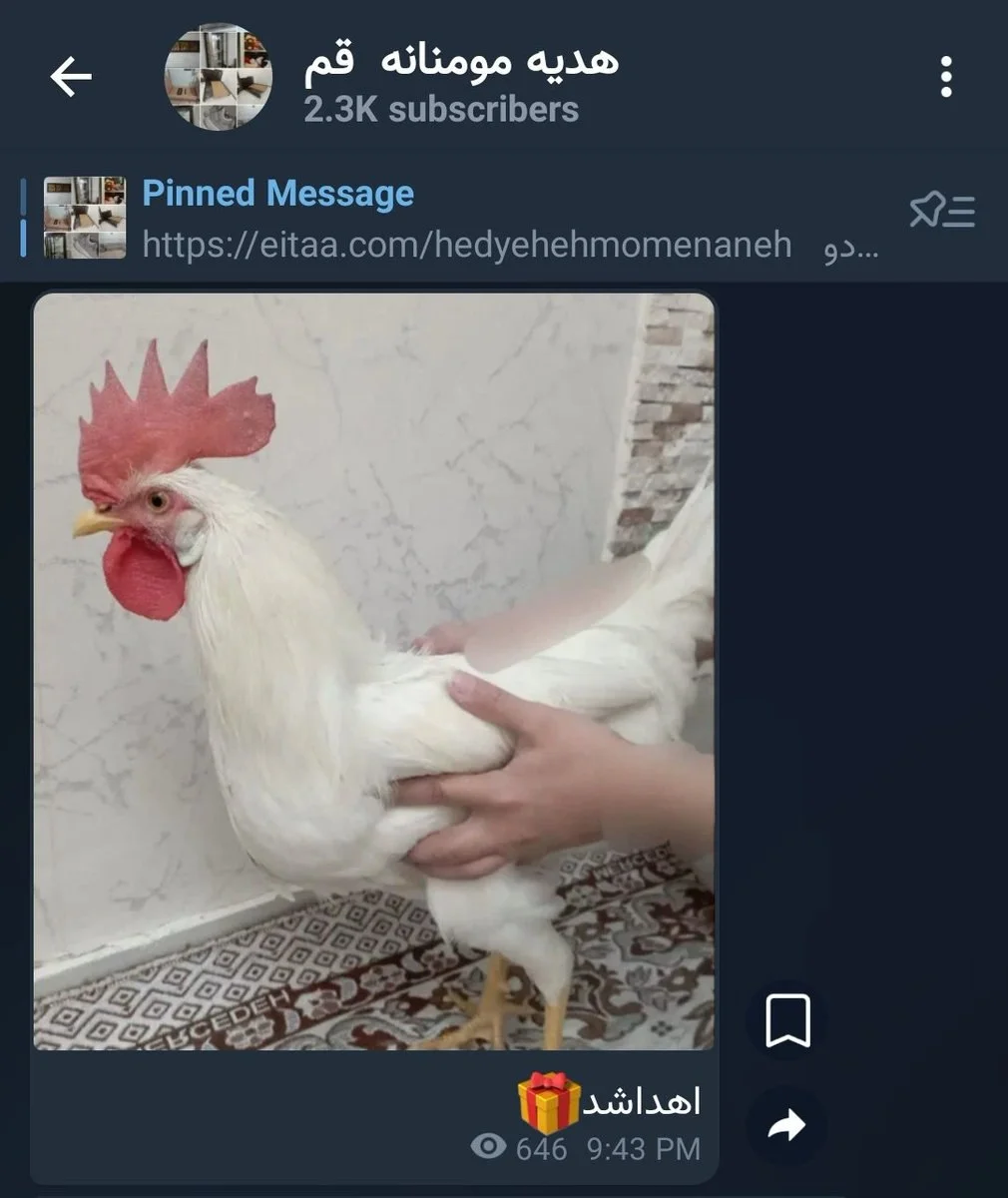 photo_2025-12-13_23-41-49